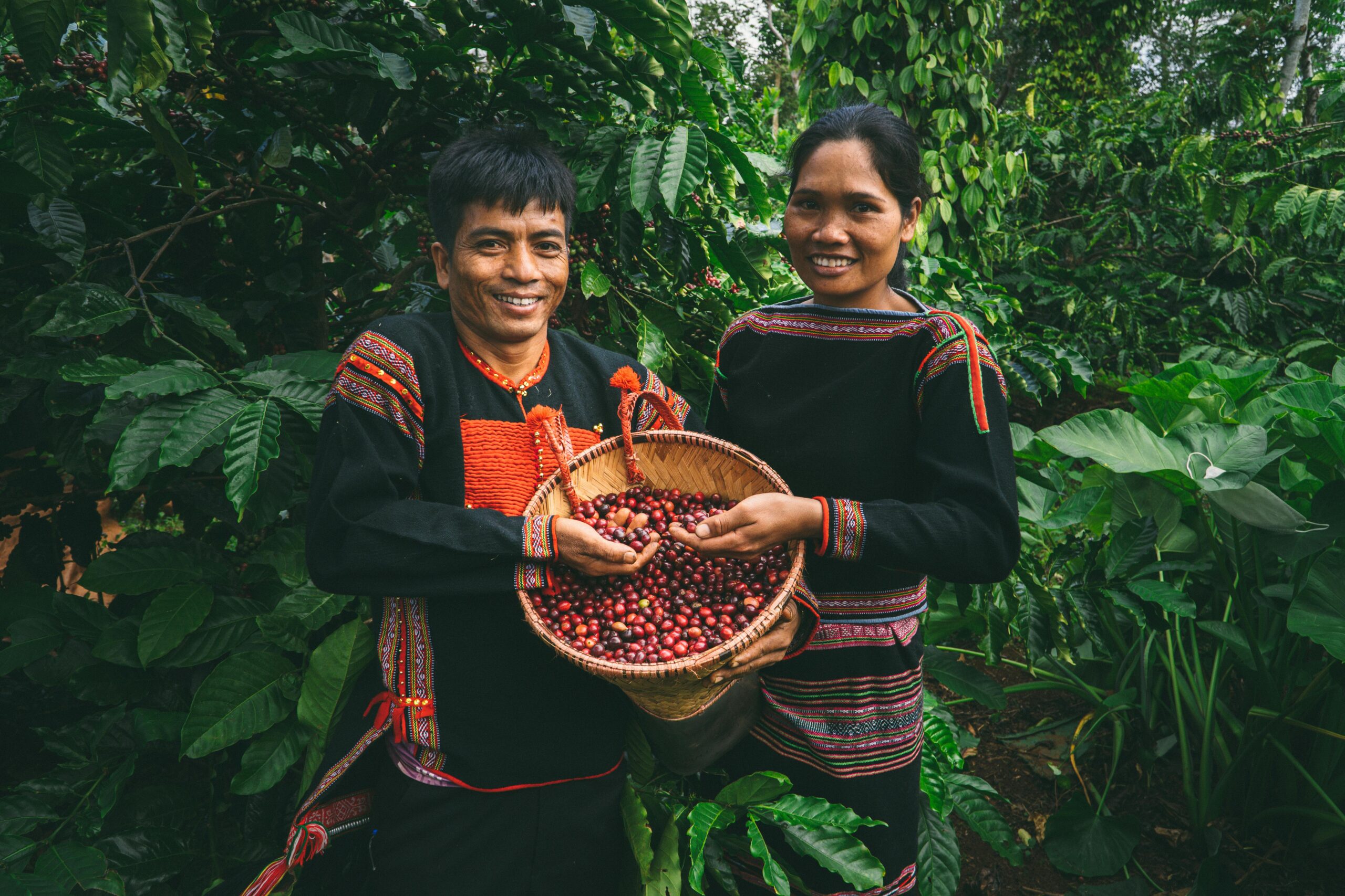 Wholesale Coffee Beans, Coffee Wholesale, Coffee Suppliers, Wholesale Coffee Manufacturers, Coffee Beans For Sale, Coffee Bar For Sale, Wholesale Coffee, Wholesale Coffee Suppliers, Coffee Wholesale Distributors, Wholesale Coffee Dealers, Buy Coffee Beans, Where To Buy Coffee Beans, Coffee For Sale, Buy Coffee Beans Online, Coffee For Wholesale, Where To Buy Coffee Beans Near Me, Coffee Beans Wholesale, Coffee Suppliers Near Me, Coffee Wholesale Suppliers, Where Can I Buy Coffee Beans, Where Can I Buy Coffee Beans Near Me, Buy Green Coffee Beans, Where To Buy Fresh Coffee Beans Near Me, Coffee Wholesale Near Me, Where To Buy Green Coffee Beans, Buy Bean Coffee, Buy Coffee Beans Near Me, Where To Buy Espresso Coffee Beans, Where To Buy Good Coffee Beans
