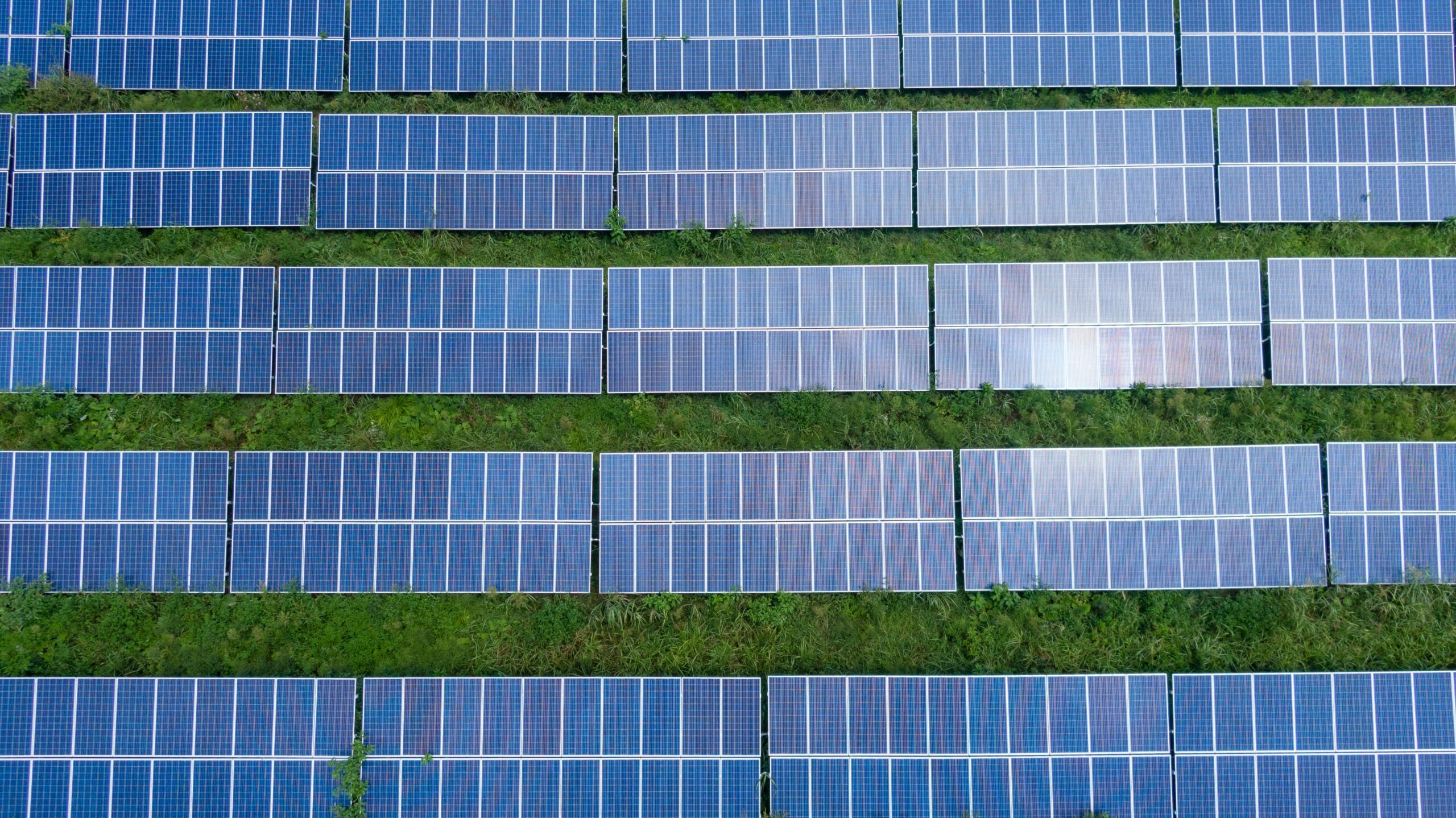 Wholesale Solar Panels, Solar Panels Wholesale, Solar Panel Wholesale, Wholesale Solar Panel, Solar Panel Wholesalers, Buying Solar Panels in Bulk.
