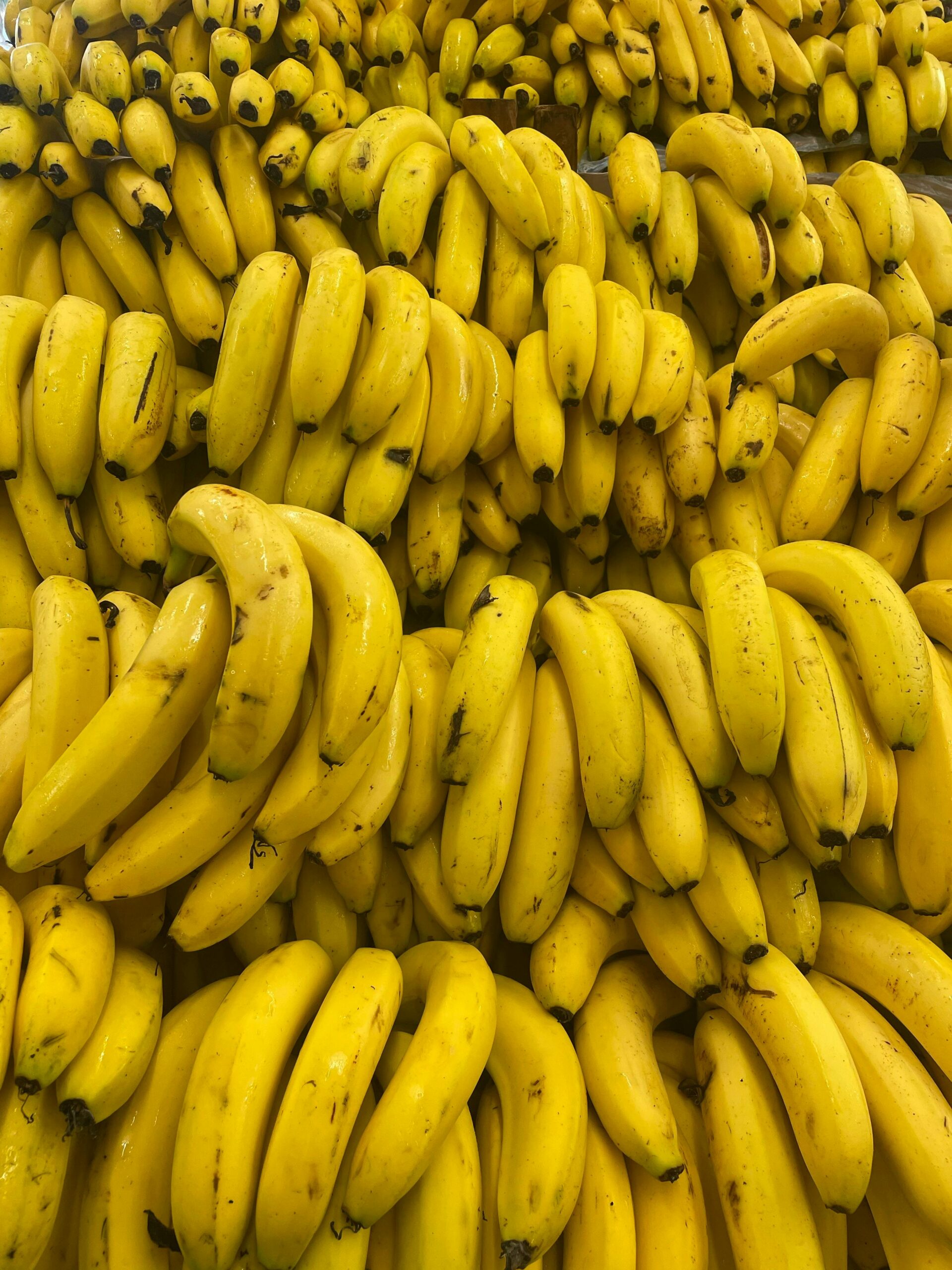 Biggest Banana Exporter, Largest Exporter Of Bananas, Banana Export, Banana Wholesale, Banana Wholesalers