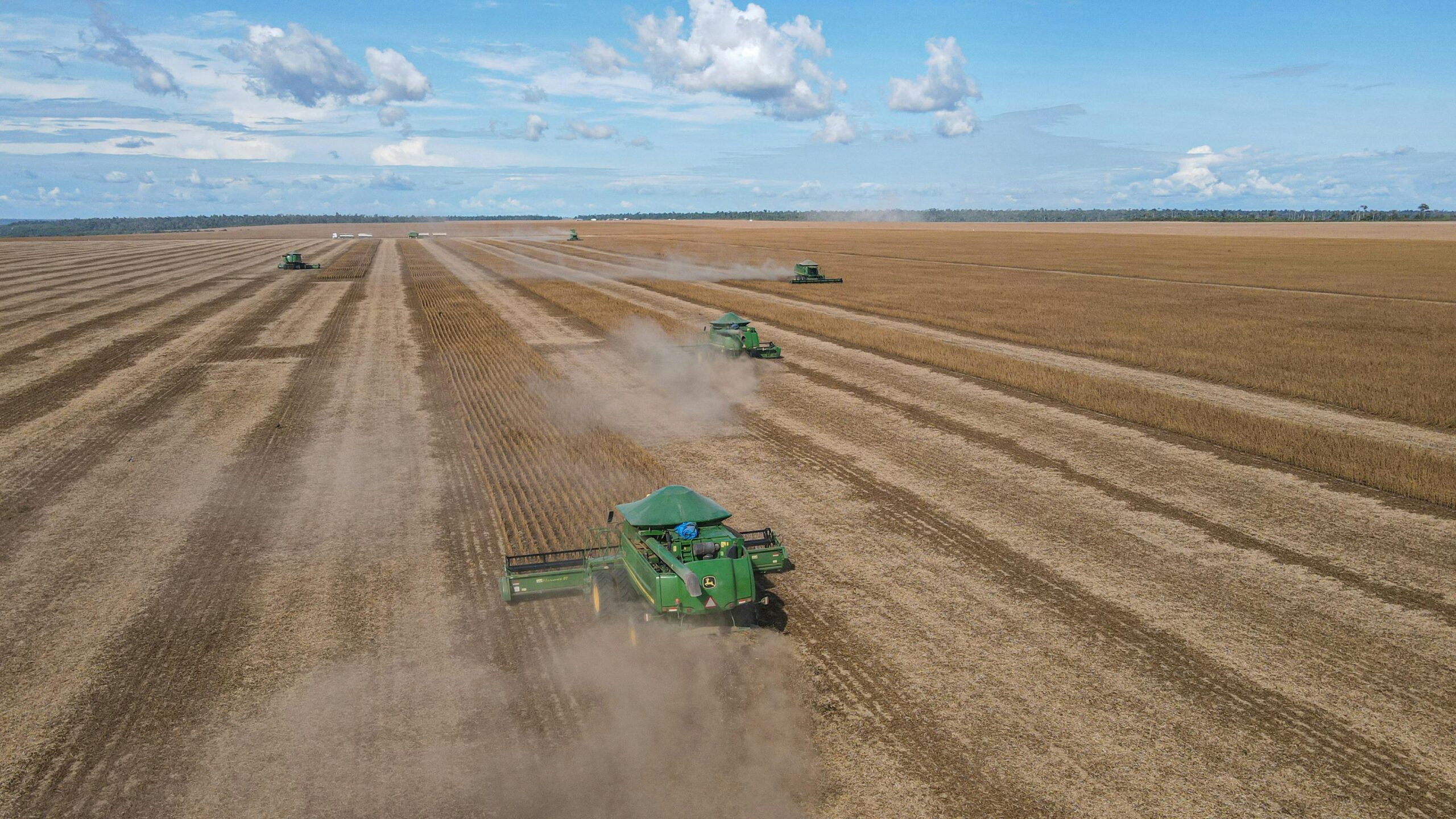Where To Buy Bulk Soybeans, Where To Buy Soybeans, Soybeans For Sale, Where Can You Buy Soybeans, Soybeans Seeds For Sale, Buy Wholesale Soybeans, Wholesale Soybeans, Soybeans Supplier