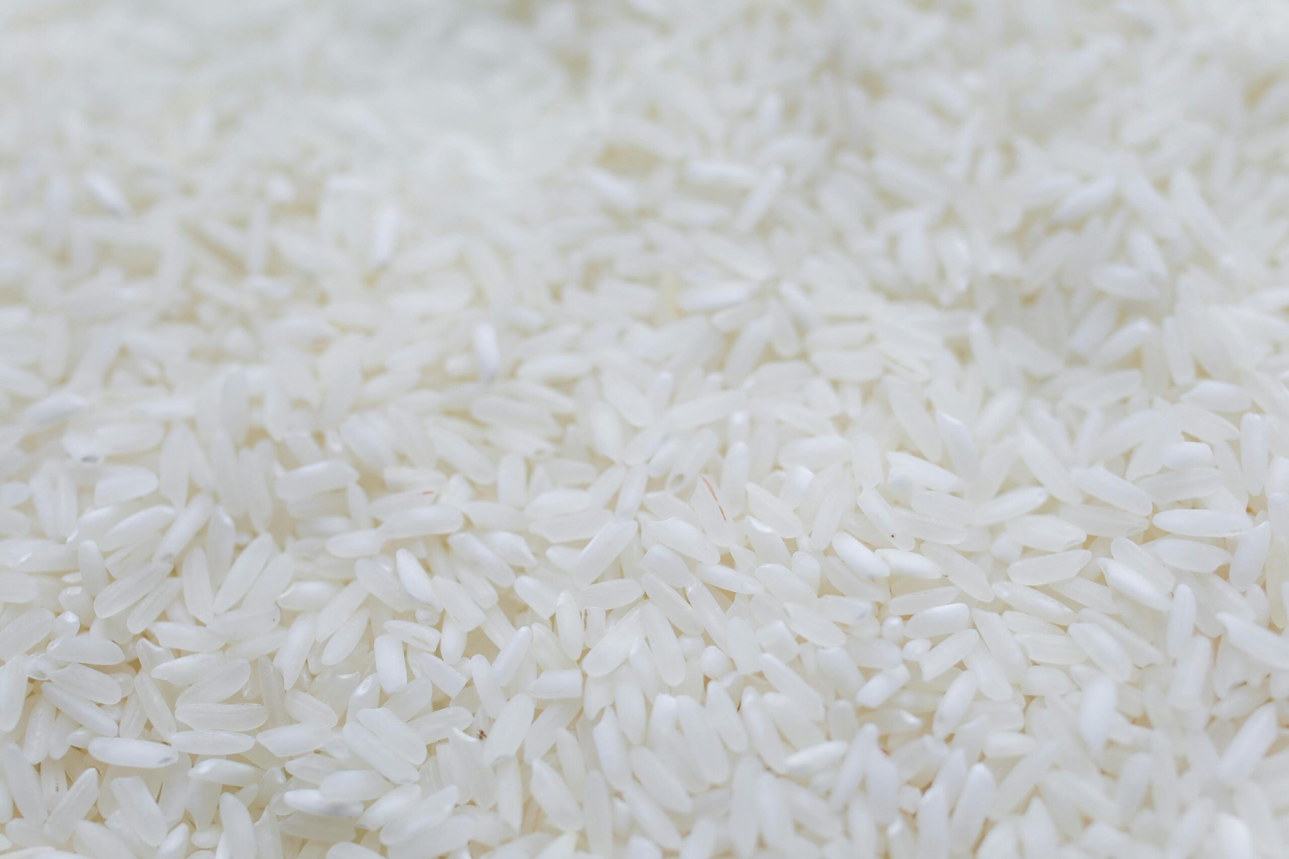 Rice Wholesale, Wholesale Rice, Buy Rice In Bulk, Where Can I Buy Rice In Bulk, Buying Rice In Bulk, Rice Water Supply