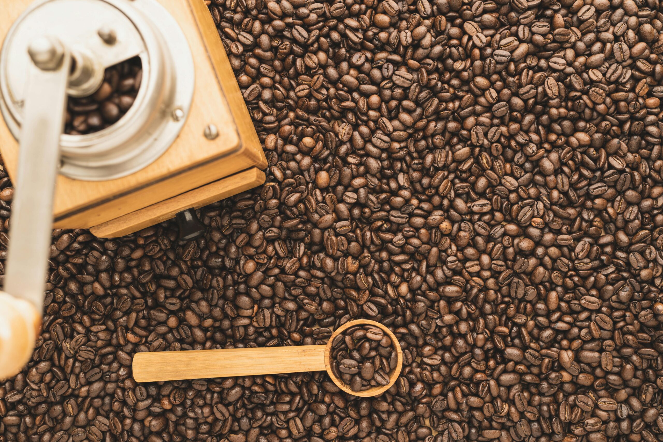 Wholesale Coffee Beans, Coffee Wholesale, Coffee Suppliers, Wholesale Coffee Manufacturers, Coffee Beans For Sale, Coffee Bar For Sale, Wholesale Coffee, Wholesale Coffee Suppliers, Coffee Wholesale Distributors, Wholesale Coffee Dealers, Buy Coffee Beans, Where To Buy Coffee Beans, Coffee For Sale, Buy Coffee Beans Online, Coffee For Wholesale, Where To Buy Coffee Beans Near Me, Coffee Beans Wholesale, Coffee Suppliers Near Me, Coffee Wholesale Suppliers, Where Can I Buy Coffee Beans, Where Can I Buy Coffee Beans Near Me, Buy Green Coffee Beans, Where To Buy Fresh Coffee Beans Near Me, Coffee Wholesale Near Me, Where To Buy Green Coffee Beans, Buy Bean Coffee, Buy Coffee Beans Near Me, Where To Buy Espresso Coffee Beans, Where To Buy Good Coffee Beans