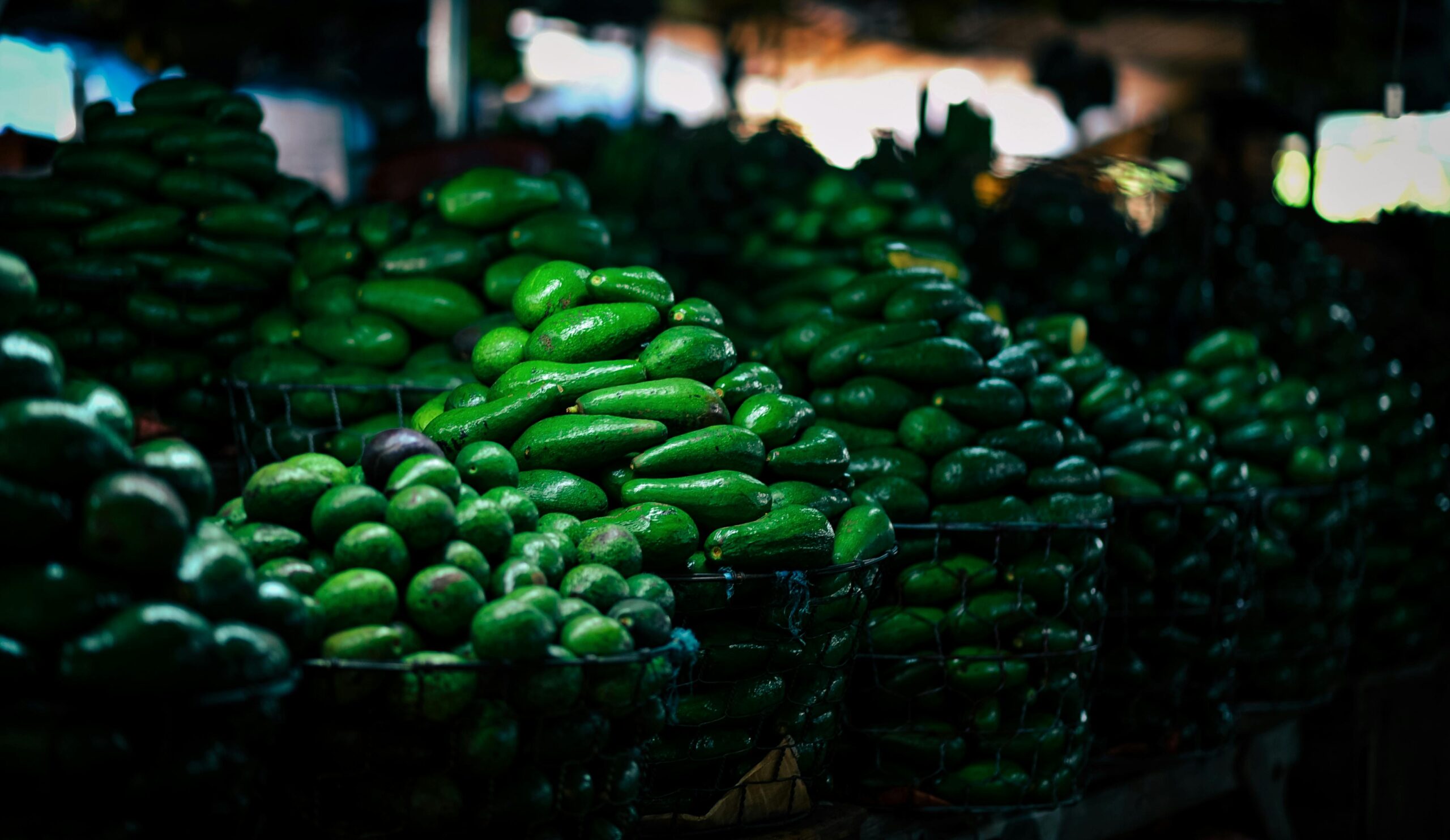 Avocado Wholesale, Avocado Oil Wholesale, Avocado Wholesale Near Me, Avocado For Export, Avocado Supply, Buy Avocados, La Wholesale Produce Market Avocado