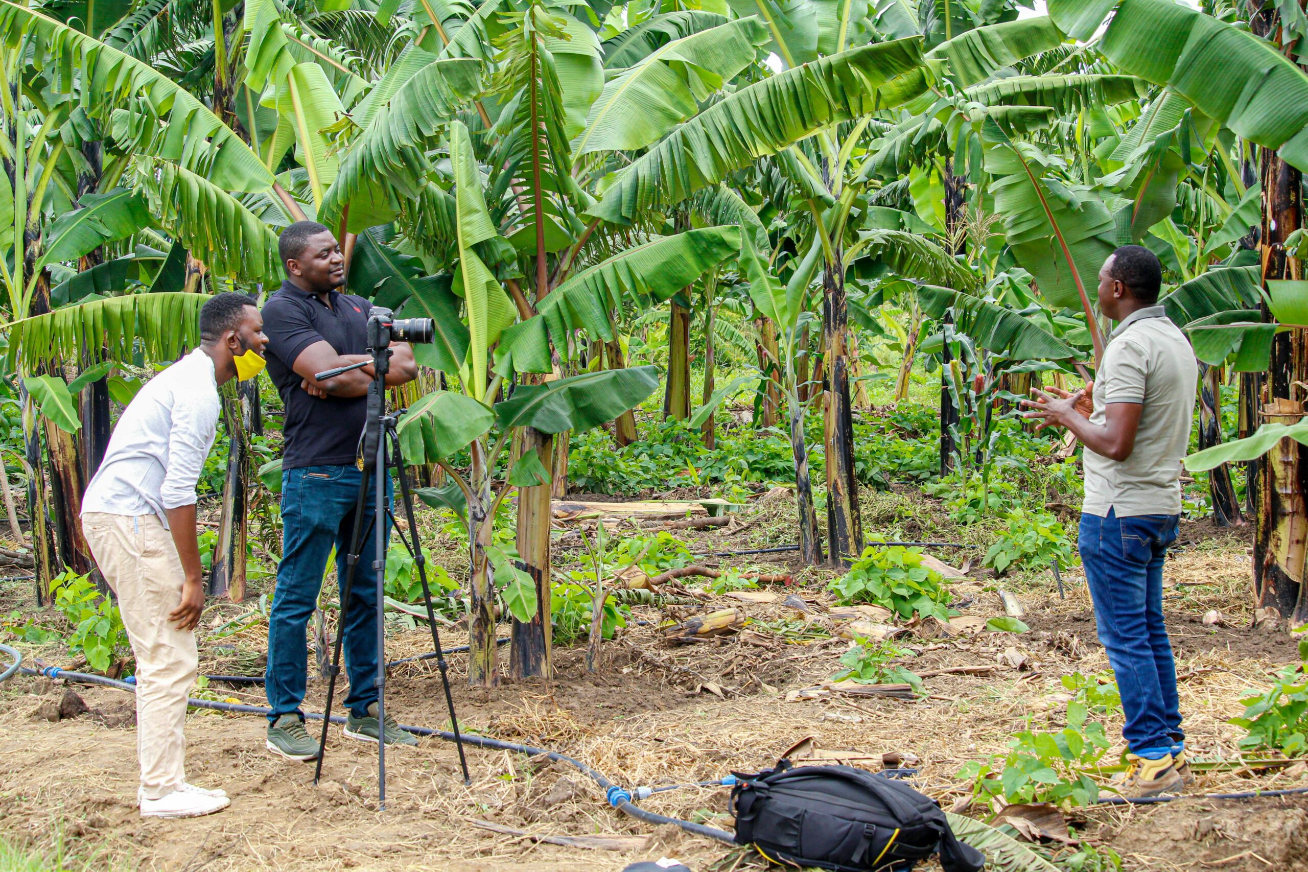 Biggest Banana Exporter, Largest Exporter Of Bananas, Banana Export, Banana Wholesale, Banana Wholesalers