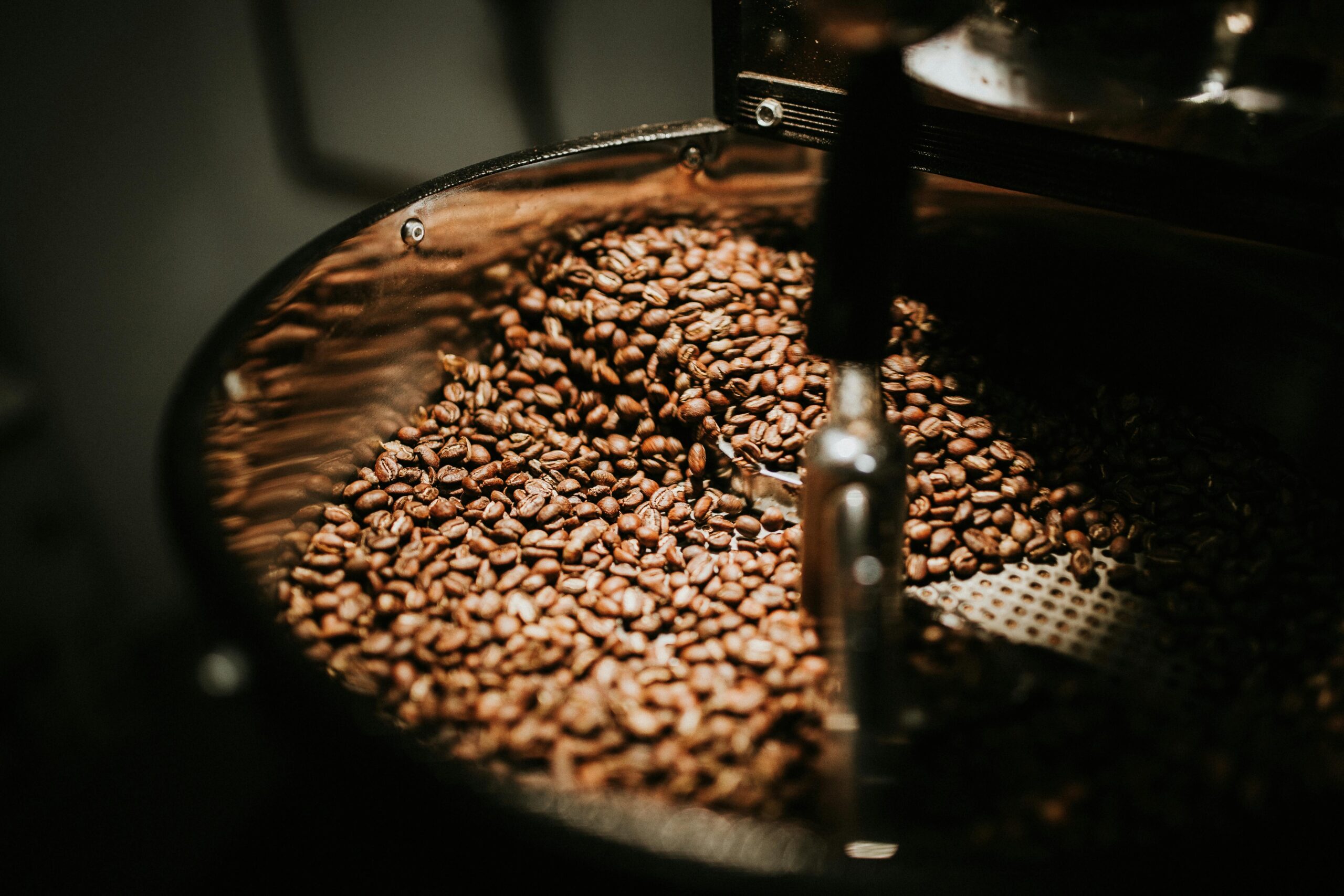 Wholesale Coffee Beans, Coffee Wholesale, Coffee Suppliers, Wholesale Coffee Manufacturers, Coffee Beans For Sale, Coffee Bar For Sale, Wholesale Coffee, Wholesale Coffee Suppliers, Coffee Wholesale Distributors, Wholesale Coffee Dealers, Buy Coffee Beans, Where To Buy Coffee Beans, Coffee For Sale, Buy Coffee Beans Online, Coffee For Wholesale, Where To Buy Coffee Beans Near Me, Coffee Beans Wholesale, Coffee Suppliers Near Me, Coffee Wholesale Suppliers, Where Can I Buy Coffee Beans, Where Can I Buy Coffee Beans Near Me, Buy Green Coffee Beans, Where To Buy Fresh Coffee Beans Near Me, Coffee Wholesale Near Me, Where To Buy Green Coffee Beans, Buy Bean Coffee, Buy Coffee Beans Near Me, Where To Buy Espresso Coffee Beans, Where To Buy Good Coffee Beans