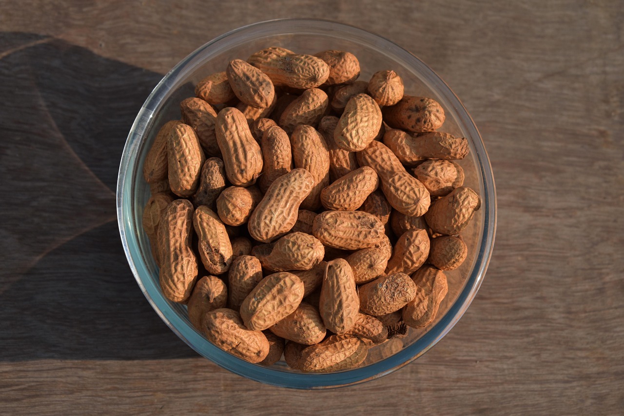 buy groundnut oil, buy groundnut oil IN BULK, groundnut oil FOR SALE, groundnut oil supplier